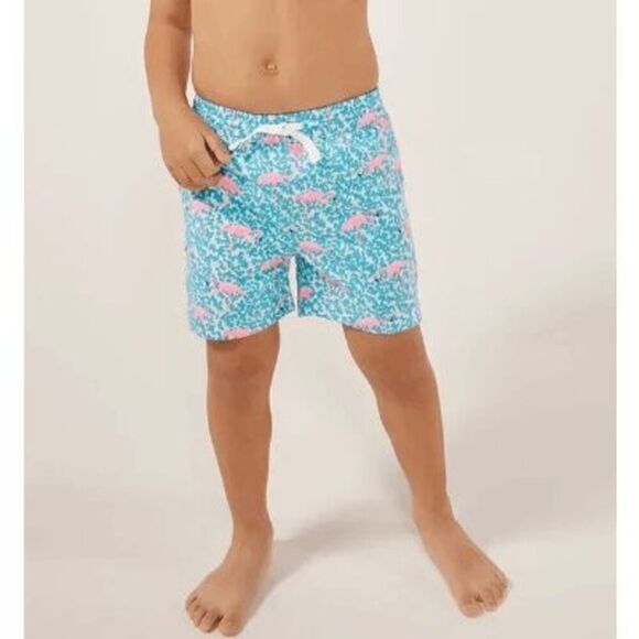 Chubbies Toddler The Mini Mingos Swim Trunk 12M-18M - Picture 1 of 6